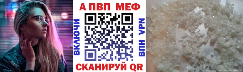 Alfa_PVP СК Тосно