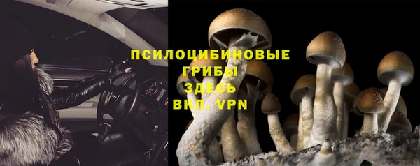 соль курить ск Алзамай