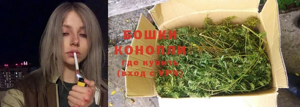 прущие грибы Няндома