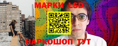 Альфа ПВП Можга