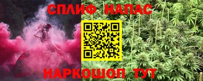Альфа ПВП Можга