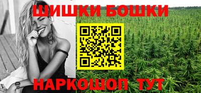 Альфа ПВП Можга