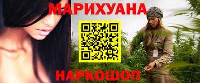 Альфа ПВП Можга