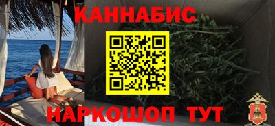 Альфа ПВП Можга