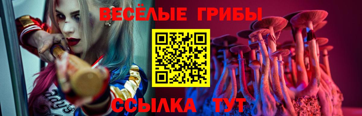 Галлюциногенные грибы MAGIC MUSHROOMS  Вход с VPN  Тосно 