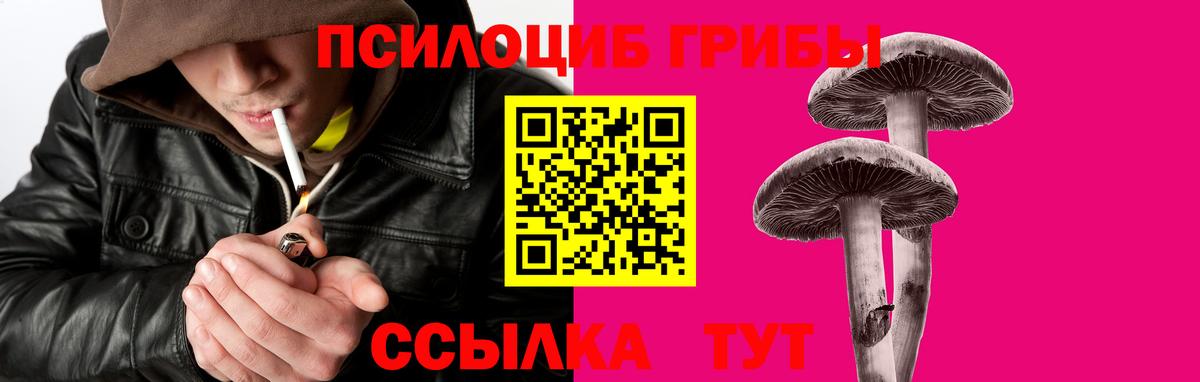 Псилоцибиновые грибы прущие грибы Тосно